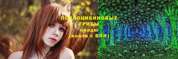 2c-b Осинники