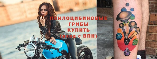 мяу мяу мука Валуйки