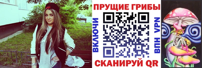 наркота  Владимир  Галлюциногенные грибы GOLDEN TEACHER 