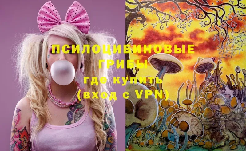 Галлюциногенные грибы Magic Shrooms  Владимир 