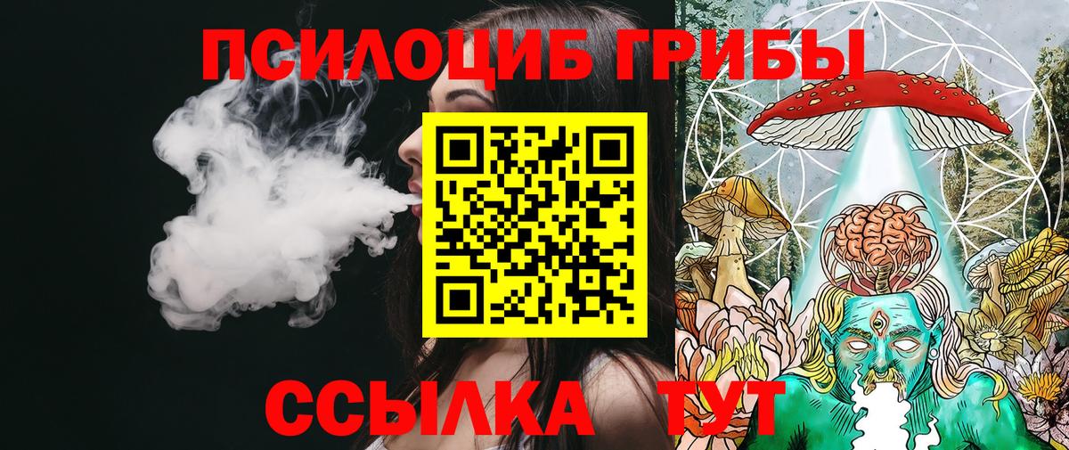 Псилоцибиновые грибы прущие грибы Владимир